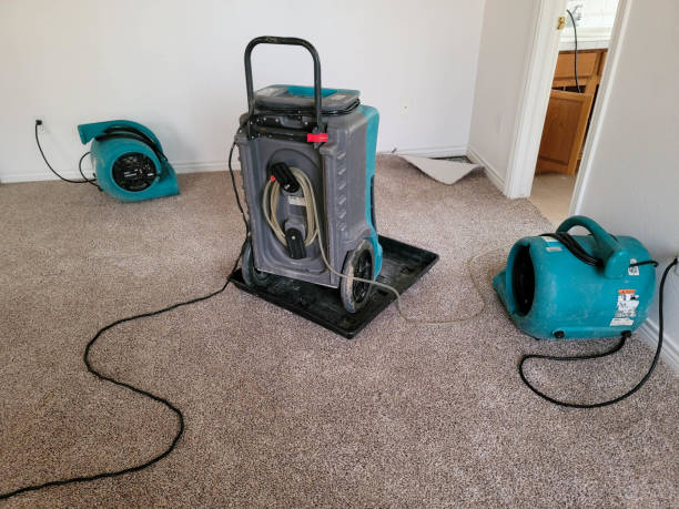 Trusted Stewartstown, PA Water damage restoration Experts