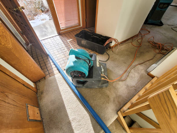 Reliable Stewartstown, PA Water damage restoration Solutions